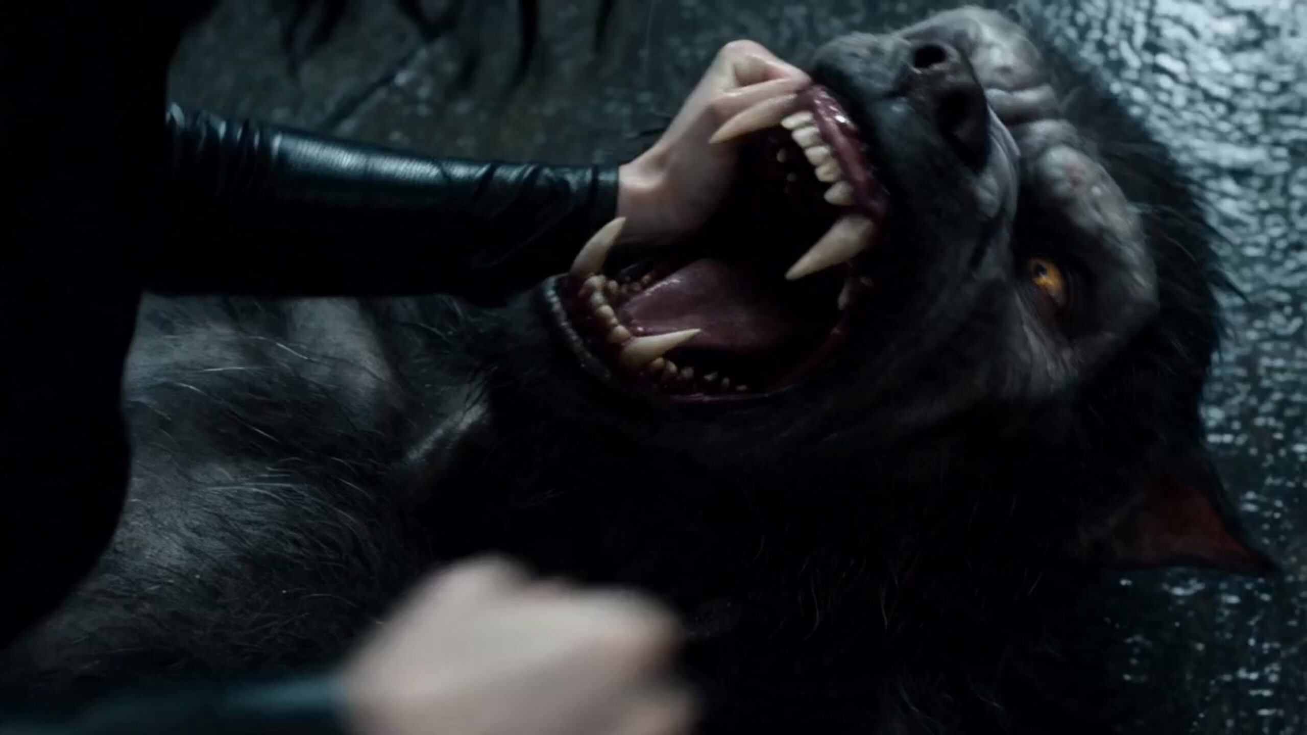 Selene vs The Lycan Lord - AI Fighting Movie - Image 15